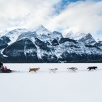 How and Where to Go Dog Sledding in Canada